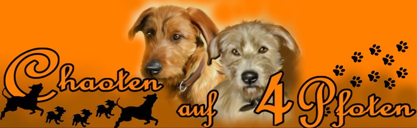 Chaoten auf 4 Pfoten