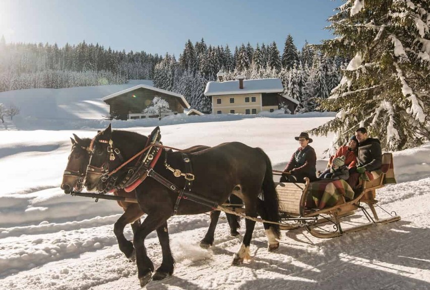 Eine Schlittenfahrt unternehmen Aktivitäten im Winter in Deutschland